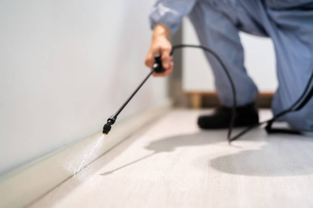 Licensed Termite Control service in Thomas, OK - Show Me Pest Control